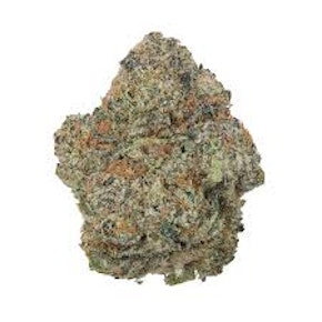 HLF | Gary Payton | 3.5g Prepack