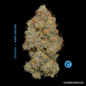 Gary Payton Mixed Light - 3.5G