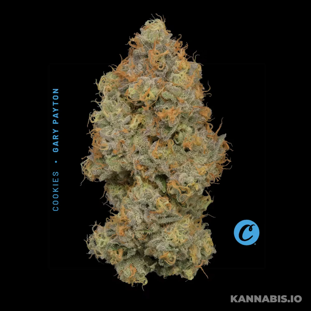 Cookies - Gary Payton Mixed Light - 3.5G Main Image