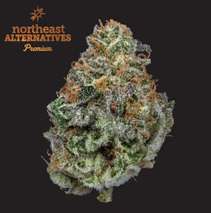 NORTHEAST ALTERNATIVES - Gary Payton Flower - 3.5g - NEA