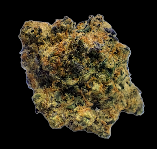 GOOD NATURE CANNABIS COMPANY - Gary's Piss - Flower