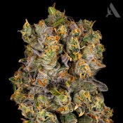 Gas Breath Flower T20.40% S 00328