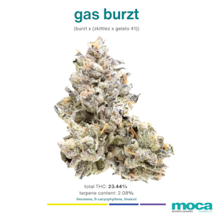 MOCA Flowers - MOCA Flowers - 1/8th Mylar Bag - Gas Burzt
