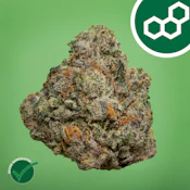 Gas Face 42017