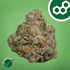 Product Preview Image 1