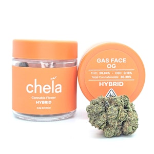 Chela Light - Gas Face OG | 3.5g Jar | Chela Light