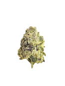 Gas Light | Flower | 3.5g | Battenkill Buds