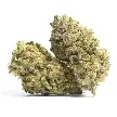 Gas Runtz