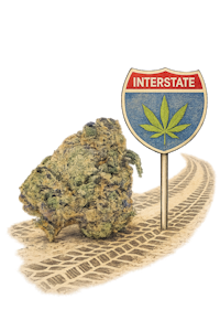 THE HEMPIRE COLLECTIVE - THC - Gas Pedal Flower