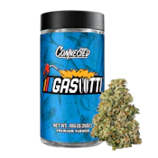 Gascotti (I) | 10g Premium Indoor | Connected Co.