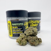 Gastopia | Hashtag Honey | Flower | 3.5g