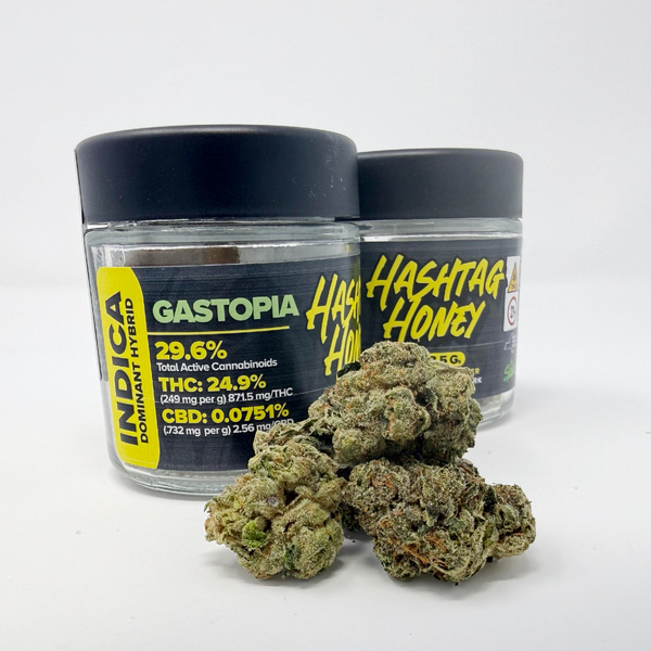 Hashtag Honey | Flower - Gastopia | 3.5g - Cannabis Dispe