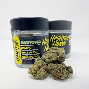 Hashtag Honey | Flower - Gastopia | 3.5g