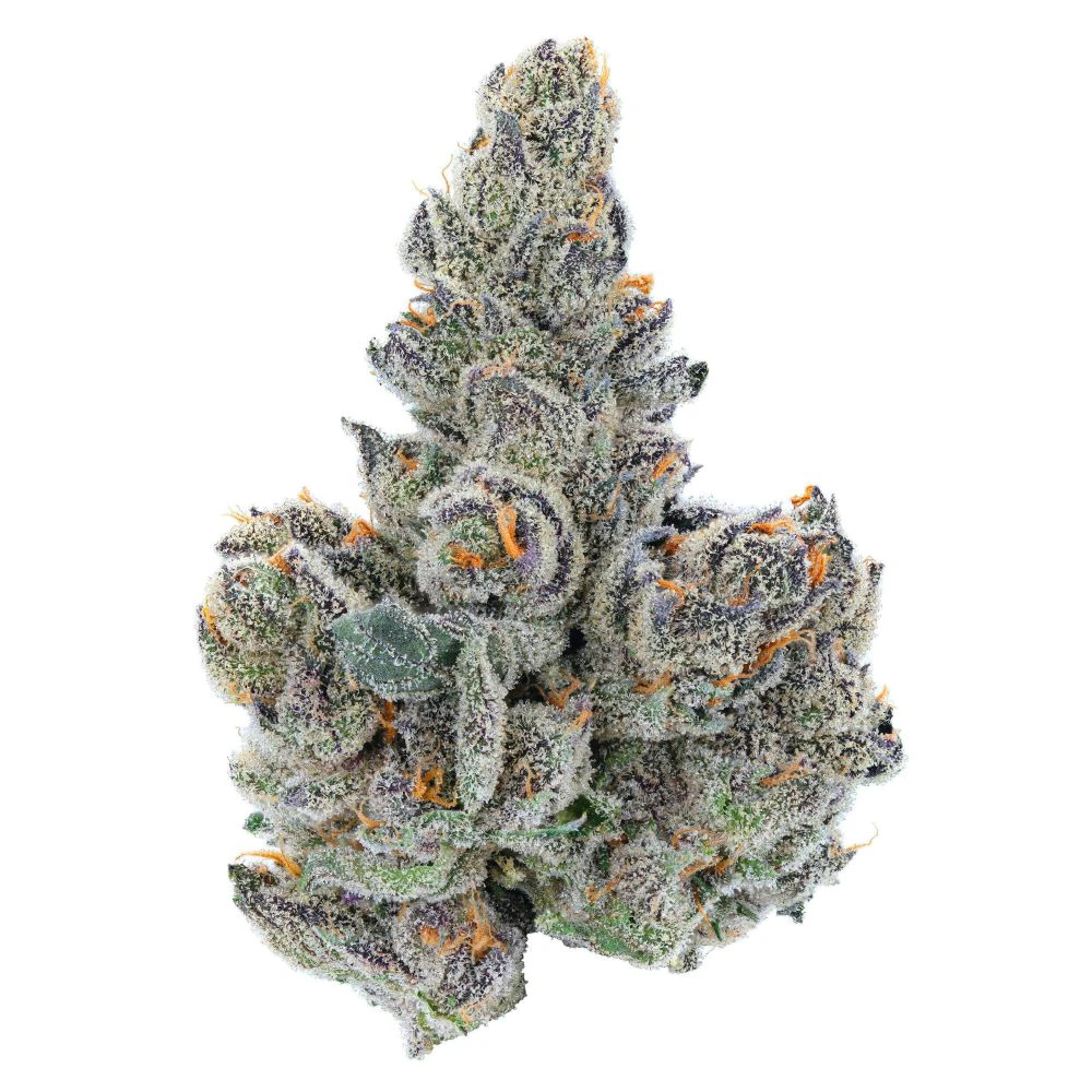 Harbor Harvest - Harbor Harvest | Gastro Pop | 3.5g Main Image