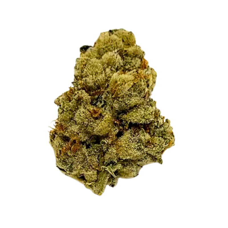 Trailhead Cannabis Company - TH Gastronaut | 3.5g Main Image