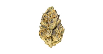 Gazurple | 28g