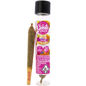 GELATO - Creme Brulee Lollis 1.2g Infused Pre-Roll - Gelato