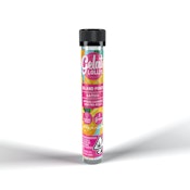 Gelato - Lolli - Island Punch - Infused Preroll - 1.2g