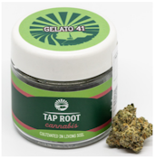 Tap Root Family | Gelato 41 | Premium 1/8th