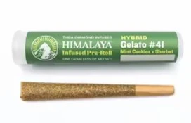 Himalaya 1g Gelato #41 Infused Preroll
