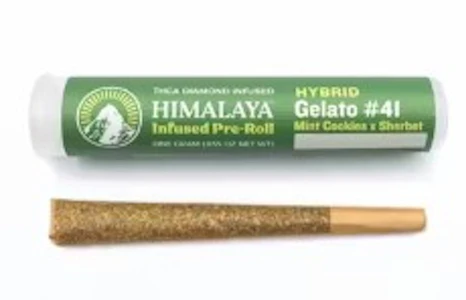 HIMALAYA - Himalaya 1g Gelato #41 Infused Preroll