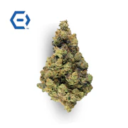 Gelato Cake Bulk Flower - ENDO