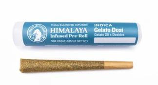 Himalaya 1g Gelato Dosi Infused Preroll