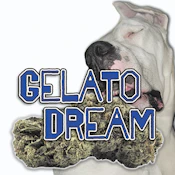 $30 Gelato Dream - 1/8th (H)