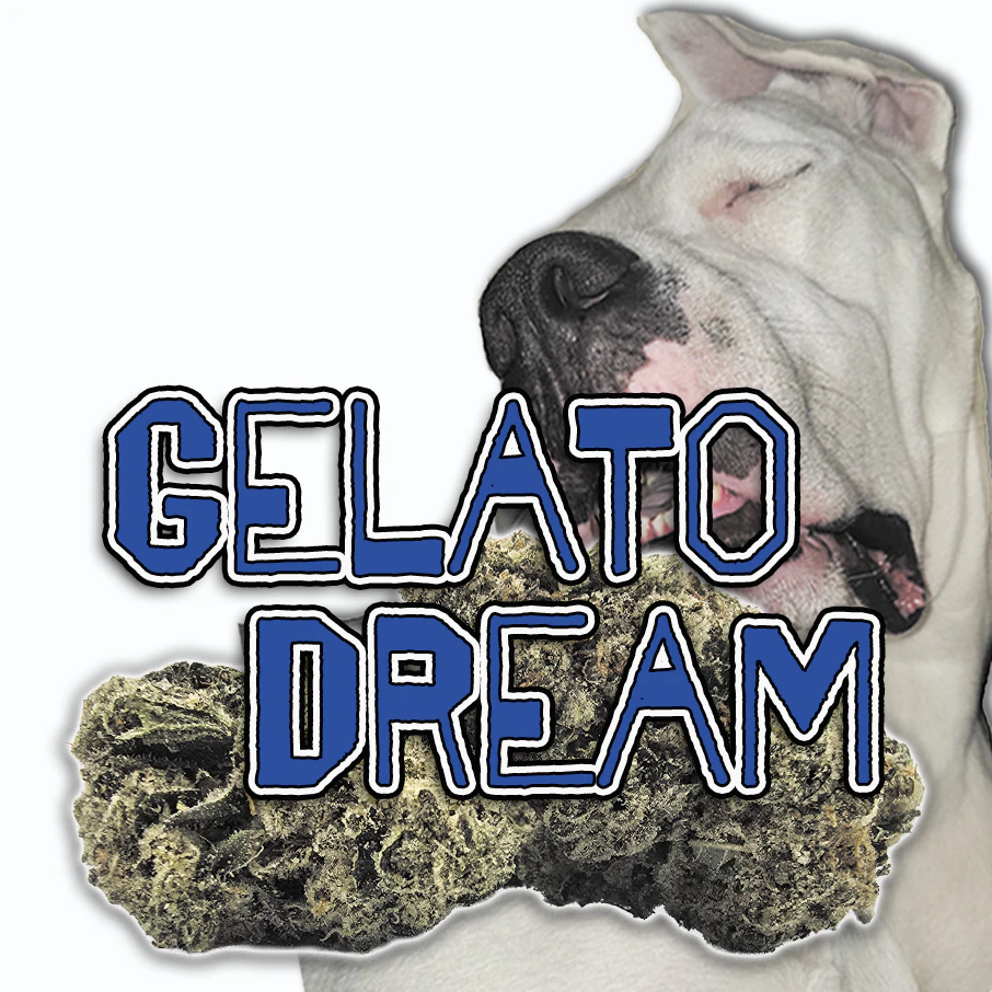Green Dragon - $30 Gelato Dream - 1/8th (H) Main Image