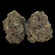 Gelato King -- Ounce