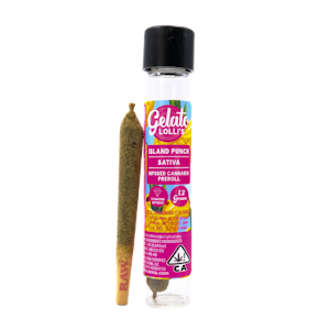 GELATO - Island Punch Lolli (S) | 1.2g Single Infused Preroll | Gelato