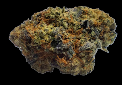 Lyra - Gelato Mintz Buds (Indica)