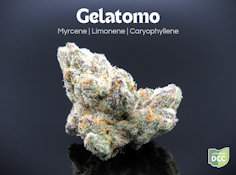 Gelatomo- 2.83 grams