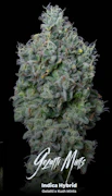 Gelatti Mints Preroll 3 Pack SUPREME By Alt Sol
