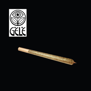 Gele - Brokedown Palace | .5g Dogwalker