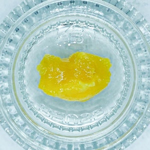 BEEHIVE EXTRACTS - Gello Shotz, Cured Resin