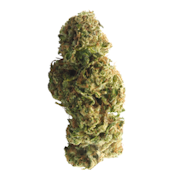 Basic Bud - 1/8th Bag - Gelonade