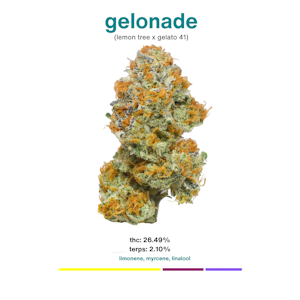 MOCA Flowers - MOCA Flowers - Smalls 1/4 Bag - Gelonade