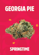 [REC] Springtime | Georgia Pie | 3.5g Flower