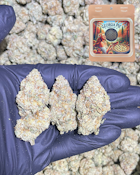 Georgia Pie | Flower of Life | Bulk Flower