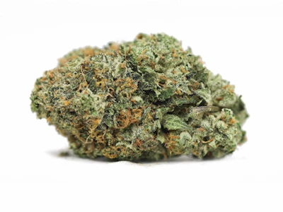 Harbor Harvest - Harbor Harvest | Pheno Hunt Blend | 3.5G