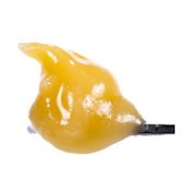 Georgia Z (H) | 1g Live Resin Badder | West Coast Cure