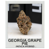 Georgia Grape Pie