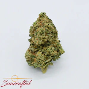 HHG - Ghost Dawg PreGround - 14g - HHG