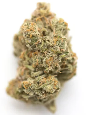 Float Cannabis - Pre-Packaged Flower | Float Cannabis | Giraffe P | 3.5g | 1 ct Main Image