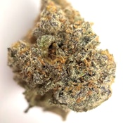Girl Scout Cookies
