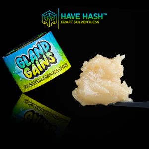HAVE HASH - HAVE HASH - Cold Cure Rosin - Gland Gains T3 - Concentrates - 2.0g