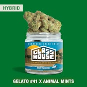 Glass House - Flower - Gelato 41 x Animal Mints - 7g