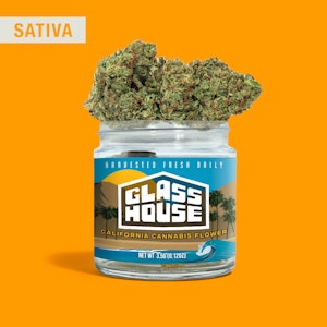 Glass House Farms - Glass House - Flower - Moltisanti - 7g