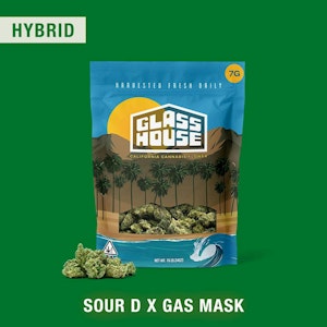 Glass House Farms - Glass House - Flower - Sour D x Gas Mask - 7g
